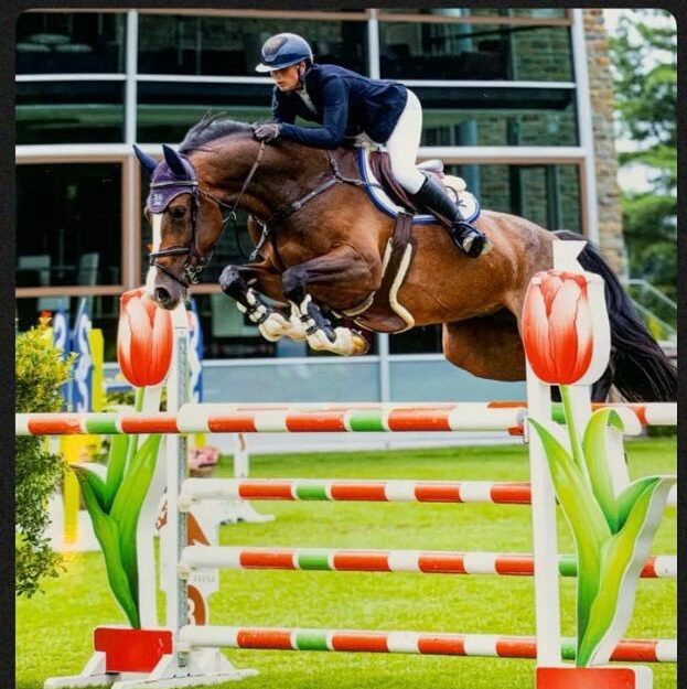 Stal van Ooijen: in- en verkopen van talentvolle springpaarden