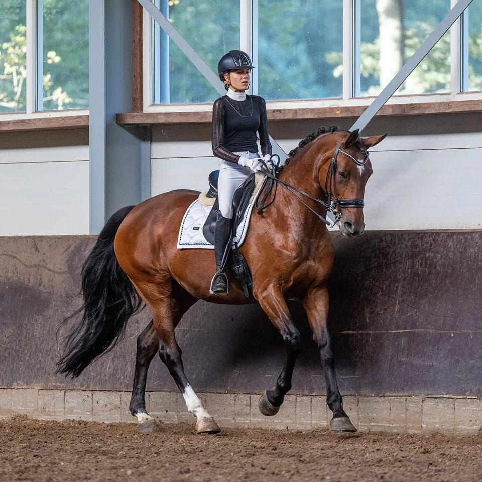 Trainingstraject voor joú en je paard